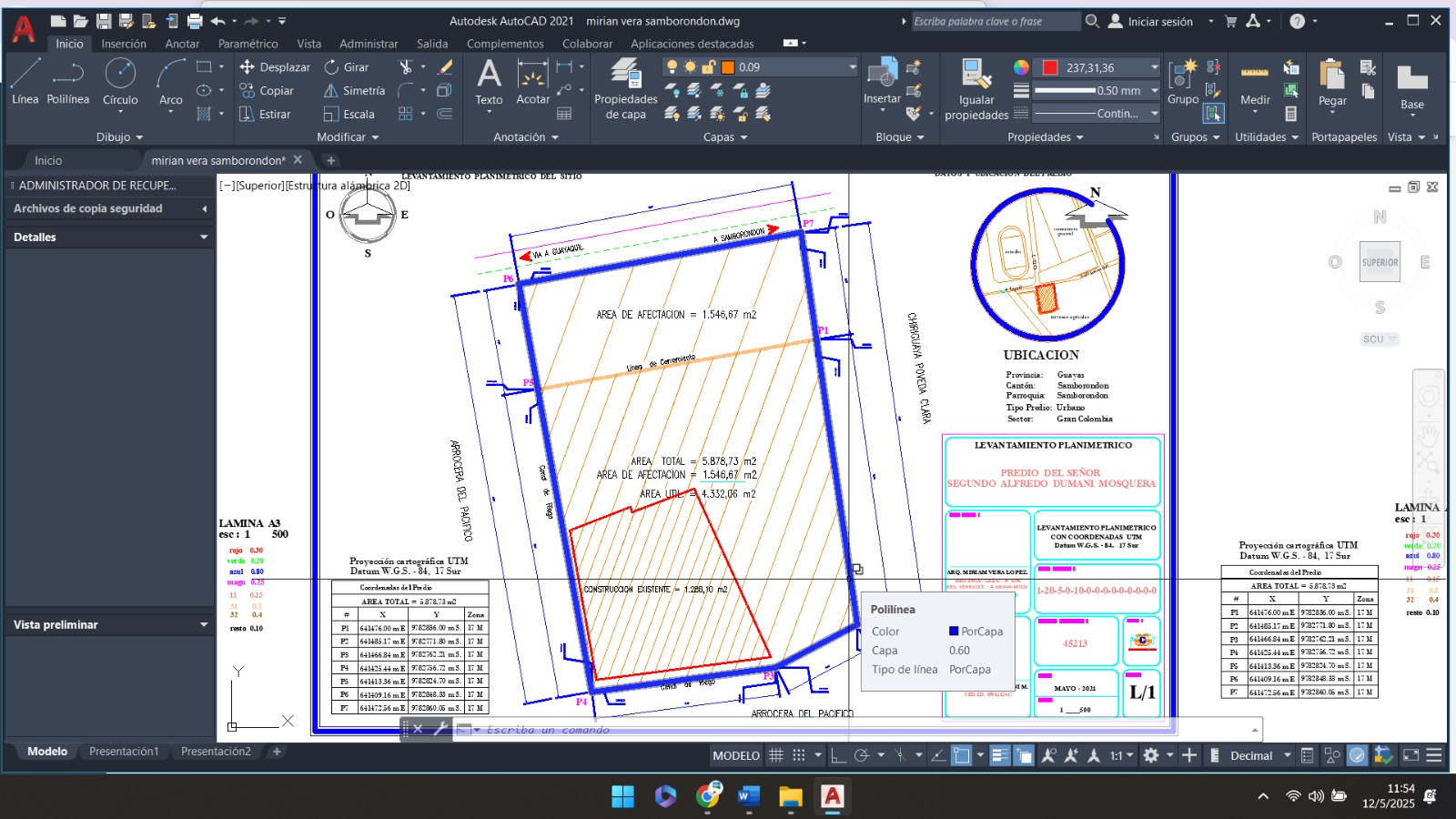 LEVANTAMIENTOS  TOPOGRAFICOS EN GENERAL