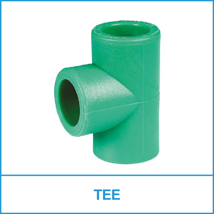 TEE-Vesbo-Termofusion