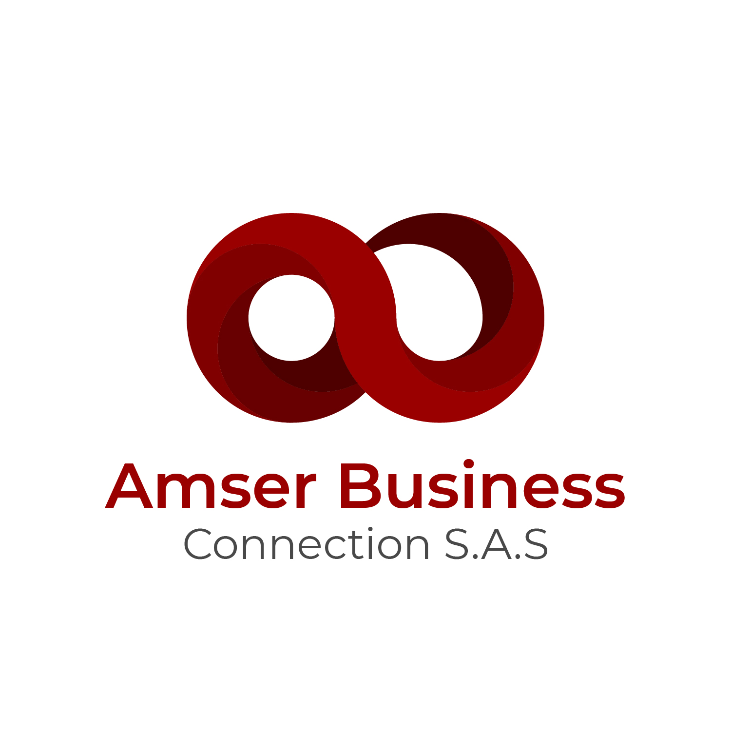 Amser Business Connection S.A.S.