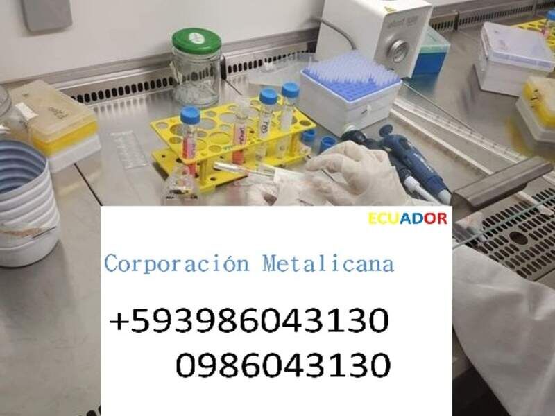 Empresa investigación científica en Ecuador