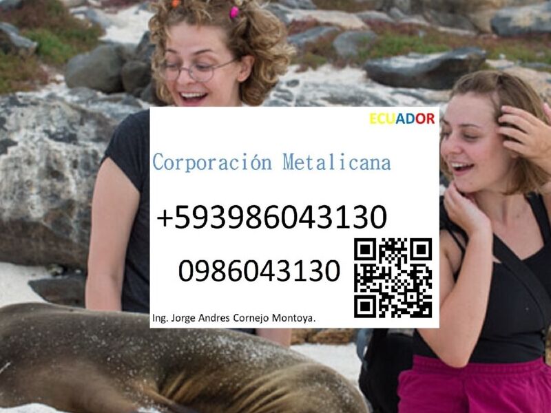 Agencia de viaje internacional en Ecuador