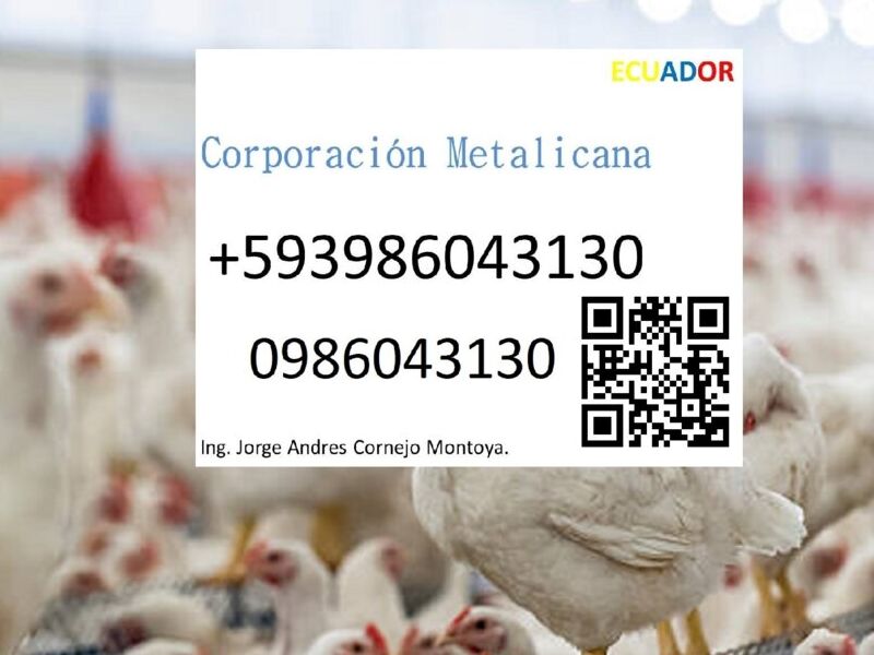 Empresa de avicultura en Ecuador