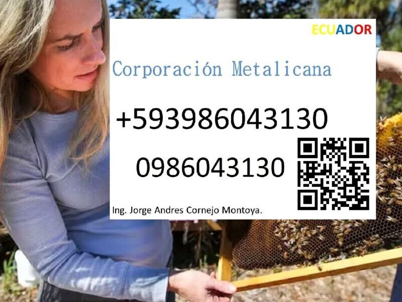 Empresa de apicultura e insectos en Ecuador