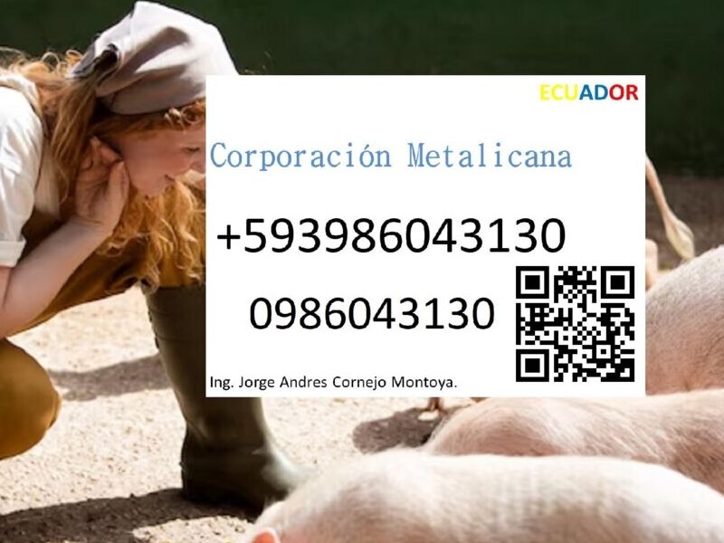 Empresa ganadera en Ecuador