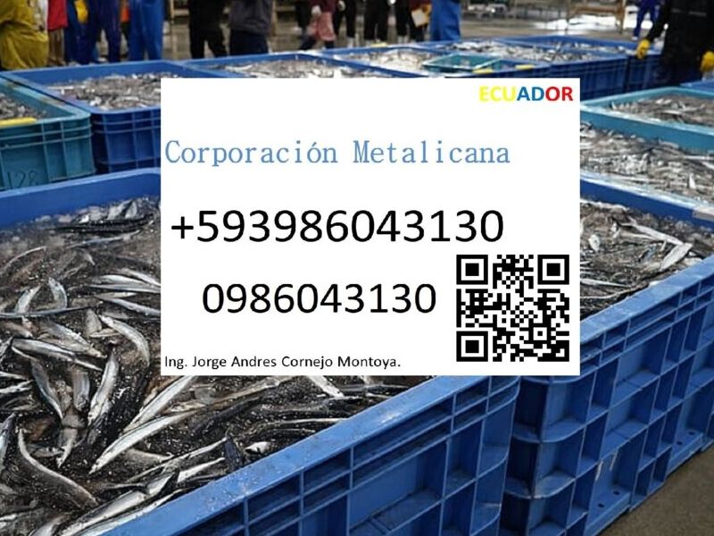 Empresa pesquera en Ecuador