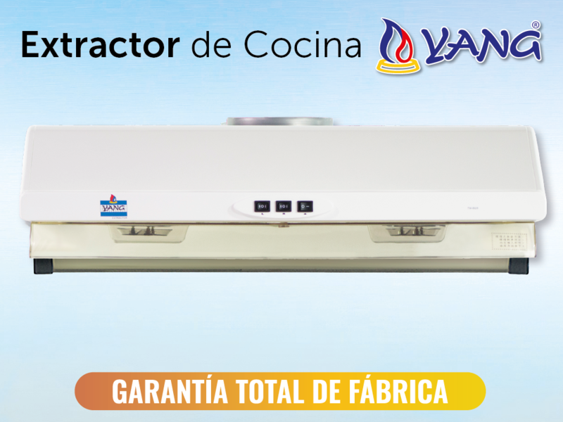 Extractor de cocina TW8928