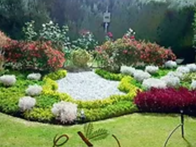 Diseño de jardín Carmanah Ecaudor
