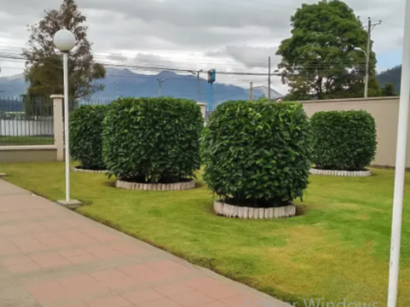 Jardín terra garden Ecuador