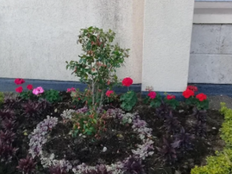 Diseño de jardinería Milton Rocha Ecuador