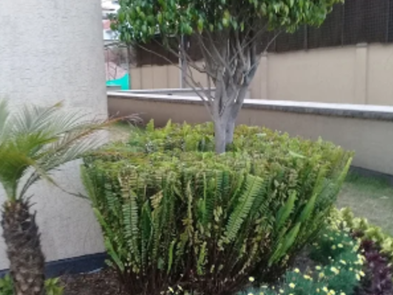 Diseño de jardines  Milton rocha Quito