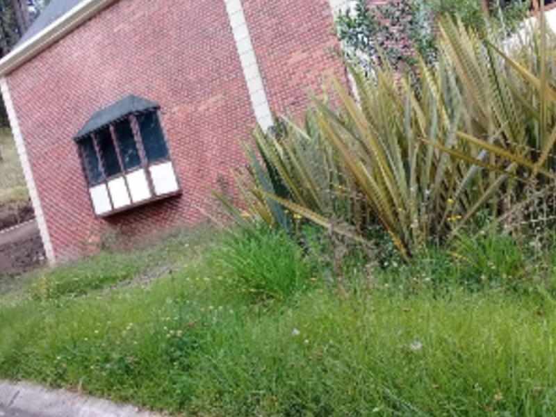 Jardines diseñados milton rocha Quito
