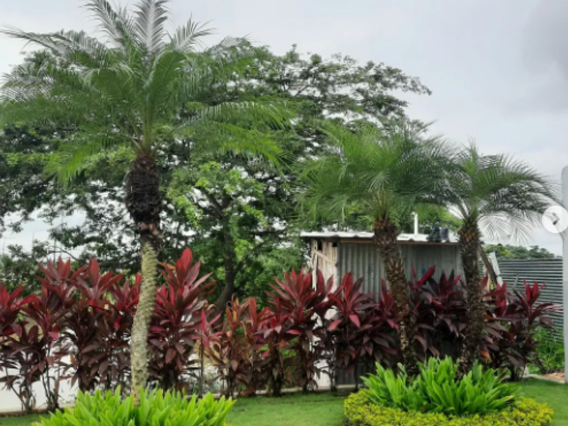 construcción de jardín green garden  ecuador