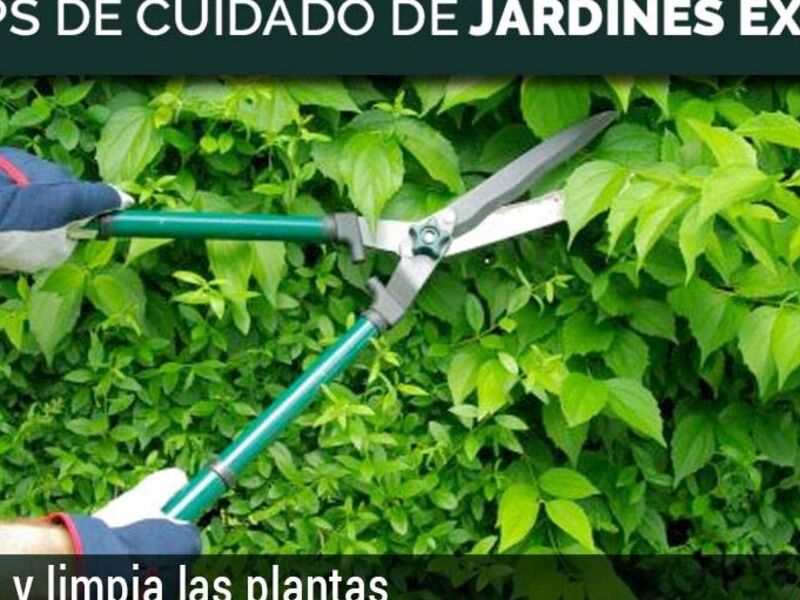 Poda de jardines Cesped y jardines Cuenca