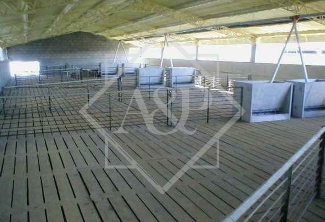 Slats de Cemento (Pisos para Chancheras)