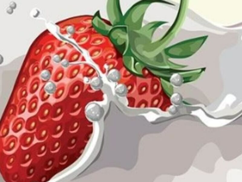Diseño de ilustraciones