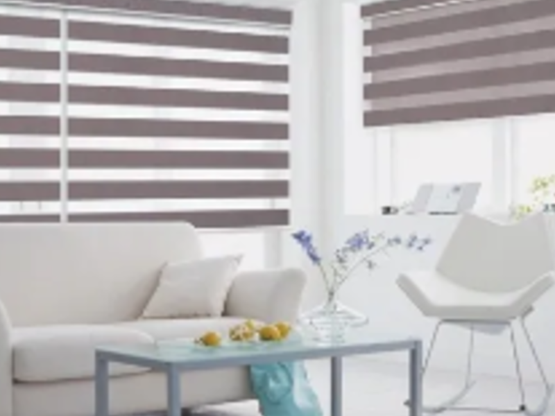 Cortinas Zebras