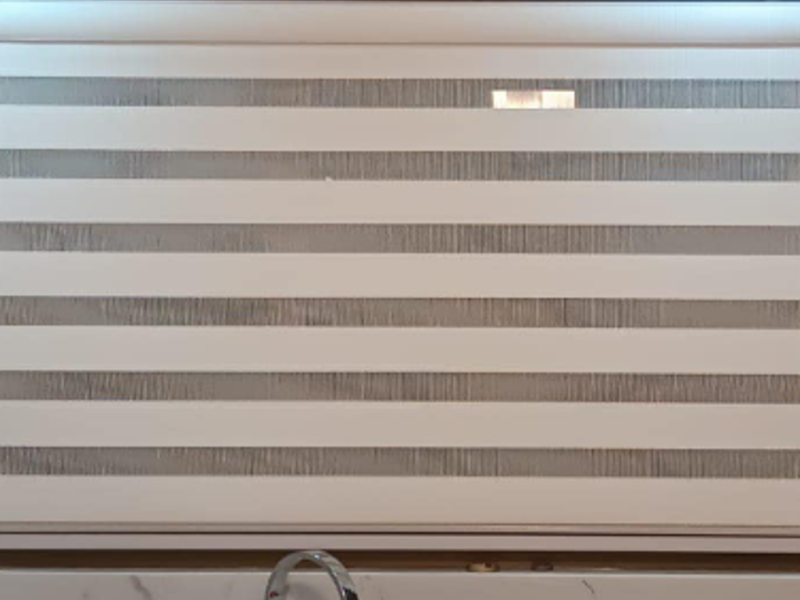 Zebra Blanca ancha
