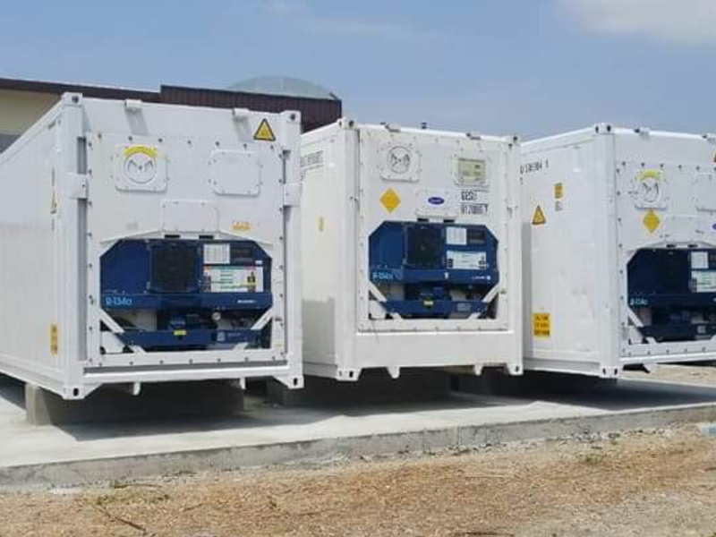 Contenedores Refrigerados 40' Pies