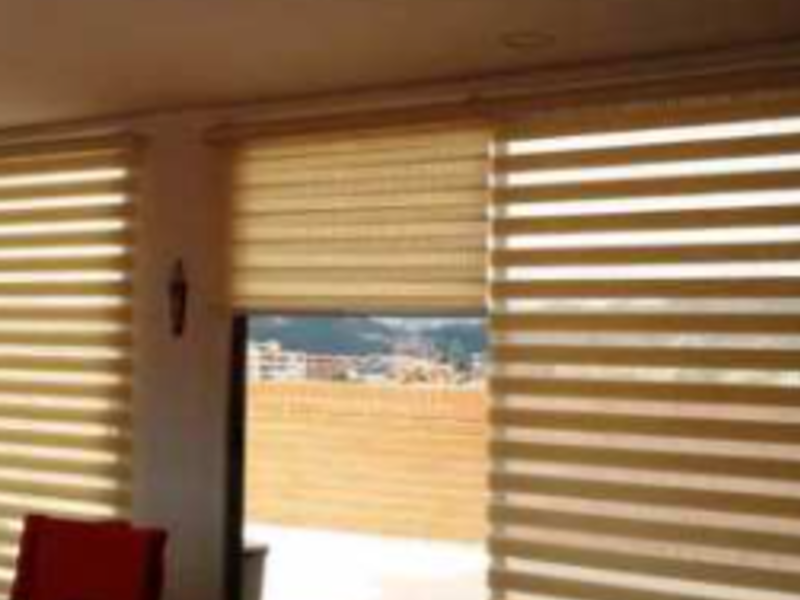 Zebra café claro