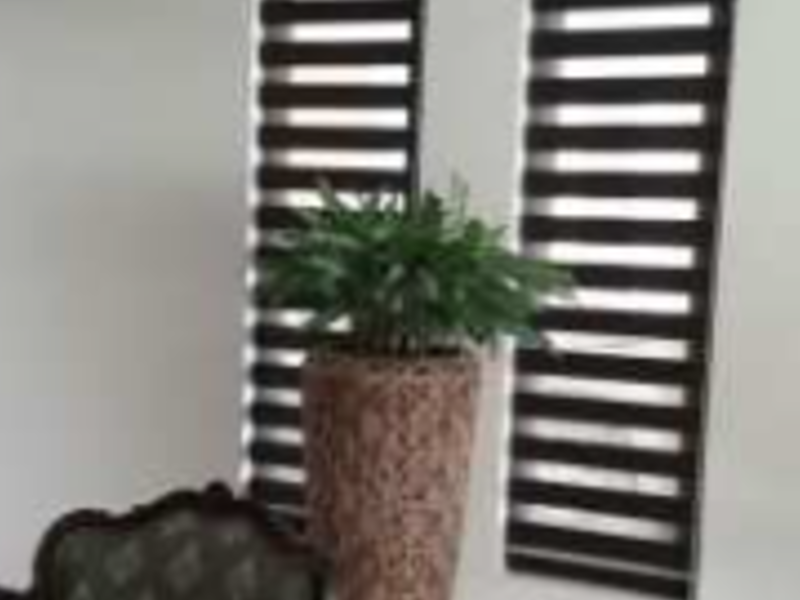 Zebra café oscuro