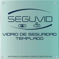 SEGUVID