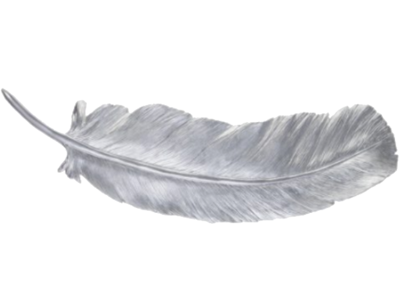 Adorno Plumas Plateadas