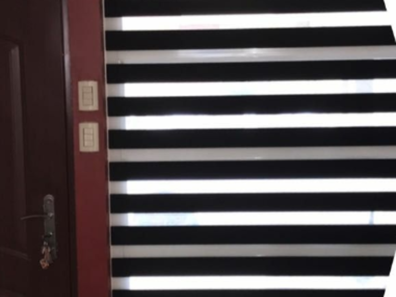 Zebra diseño moderno