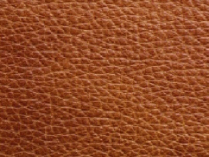 Cuero