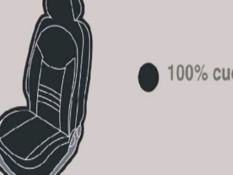 100% cuero
