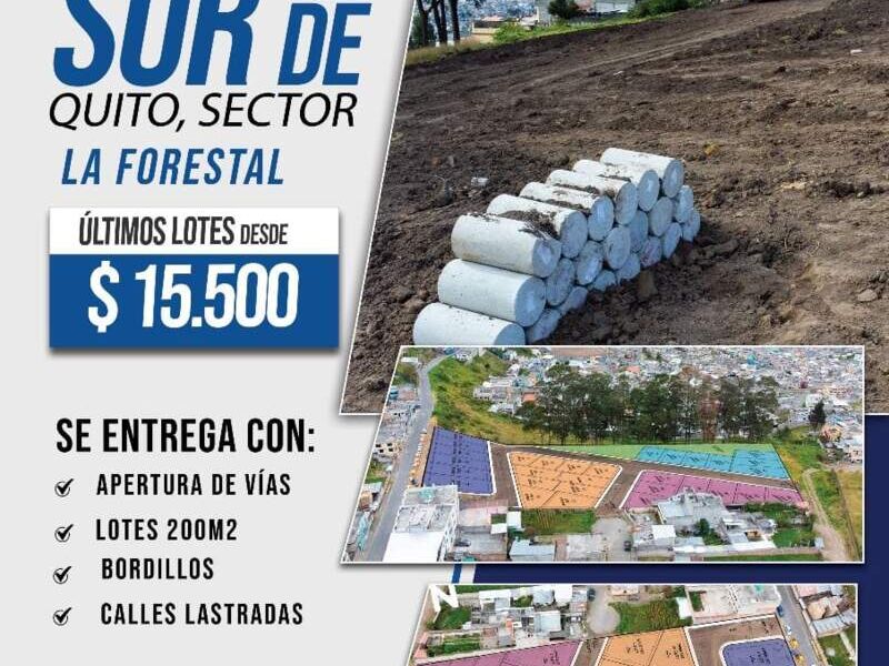 LOTES LA FORESTAL