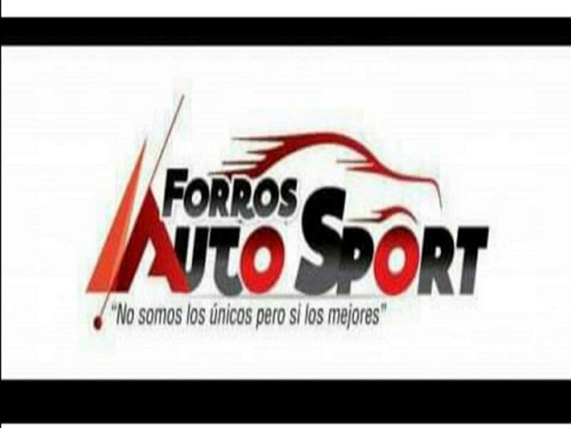 Protector volante cuero original