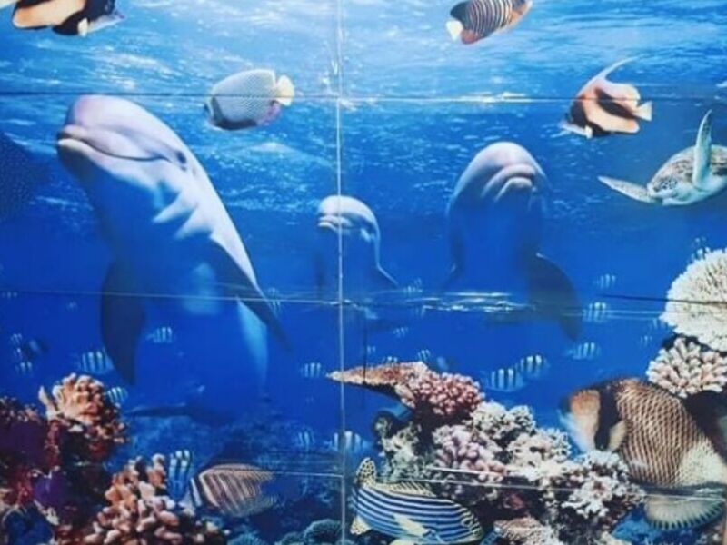 Baldosa mosaico para ducha o piscina