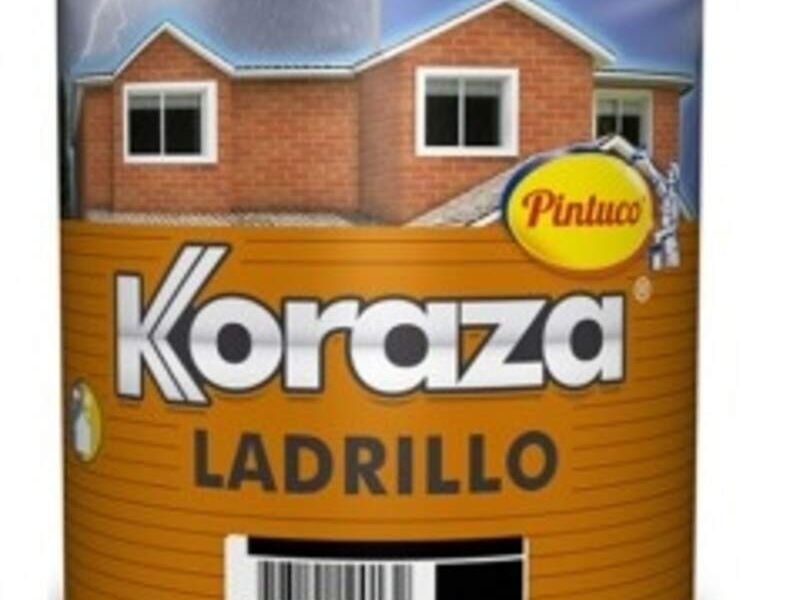 Pintura Koraza SYL 