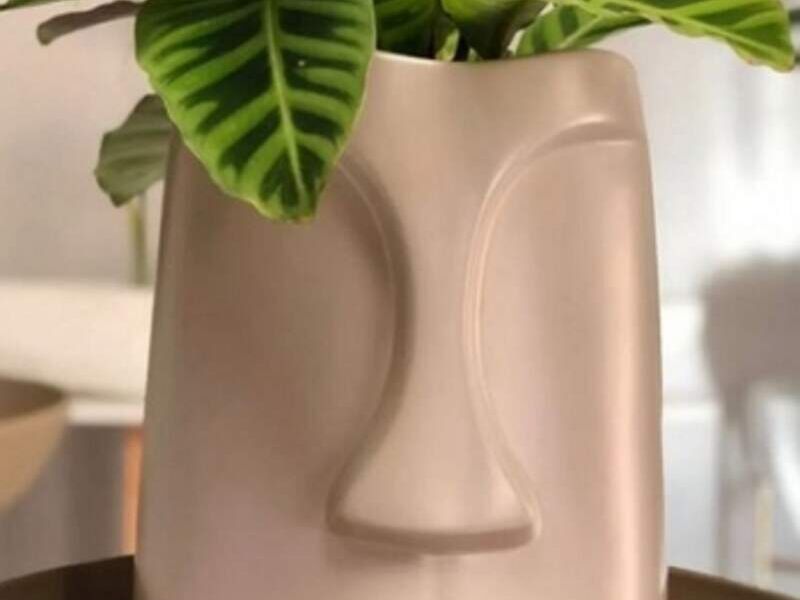 Maceta Carita