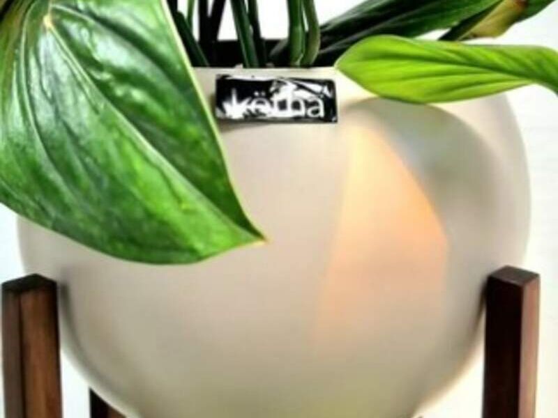Maceta Mini Bolonia