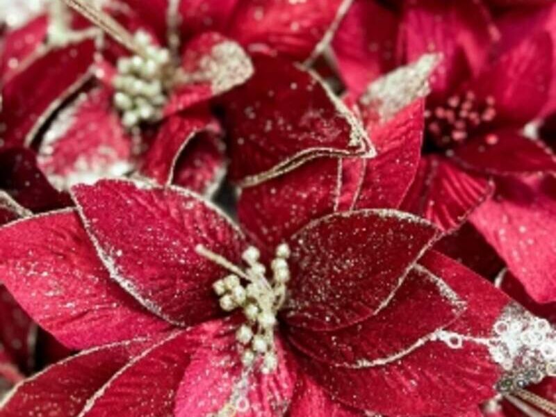 Flores navideñas