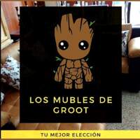 Los Muebles de Groot