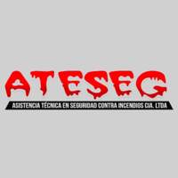 Ateseg