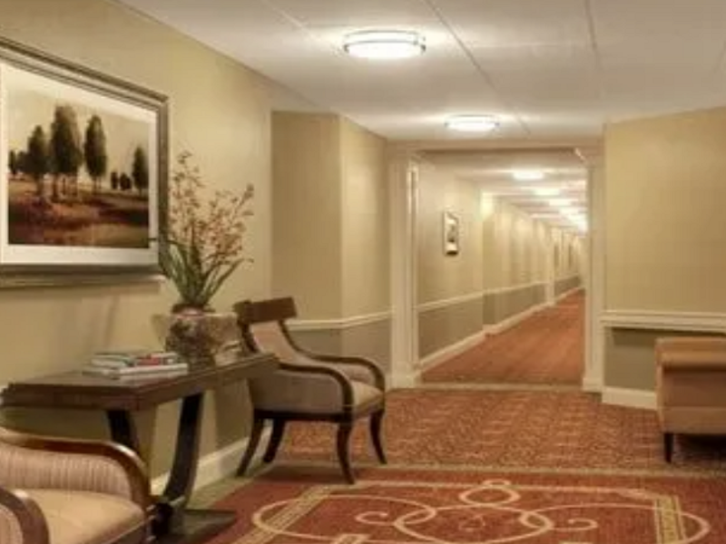 Alfombras hoteleras 