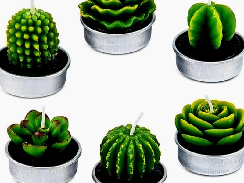Vela Cactus Quito