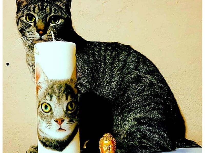 Velas Personalizadas Quito