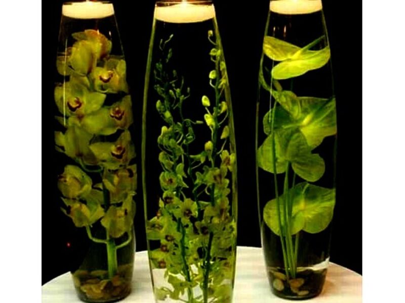 Velas Flotantes Cuenca