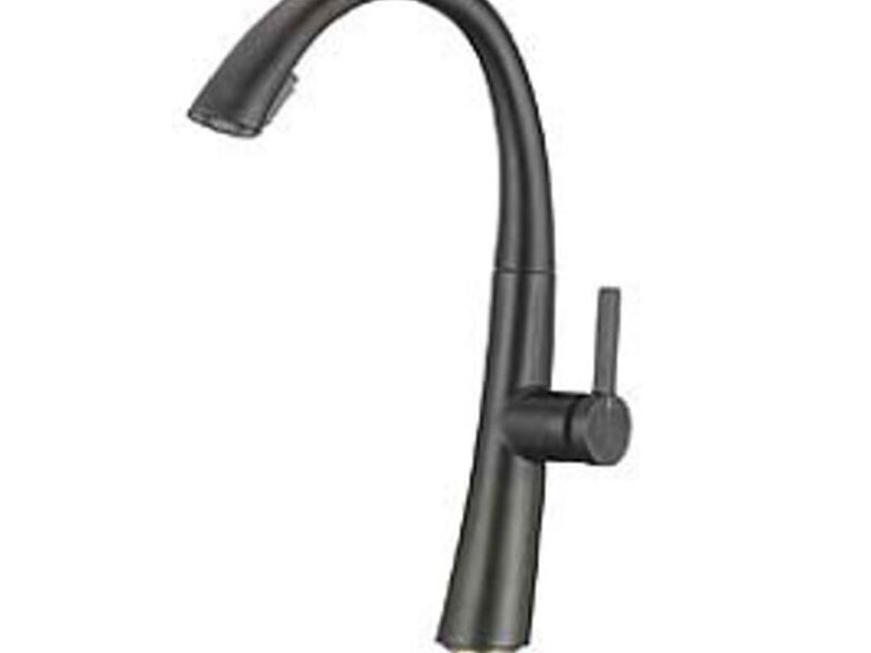 HOVE ATENEA NEGRO Ecuador