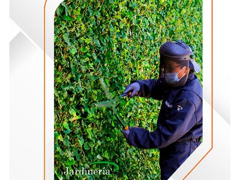 Mantenimiento de Jardines y Áreas Verdes