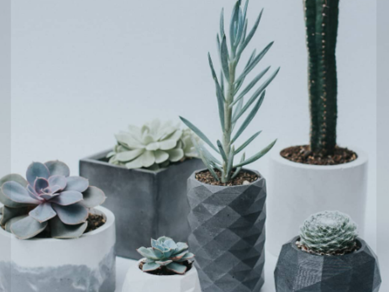 Concrete Pots Ecuador