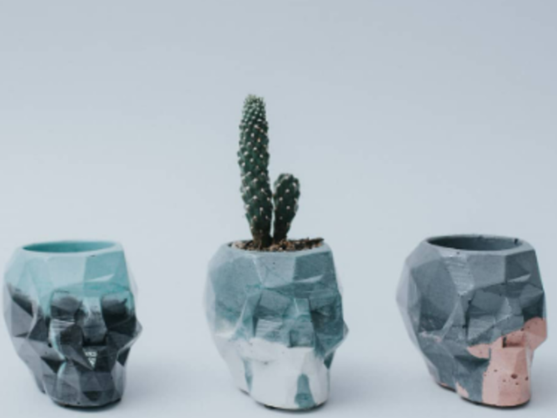 Skull pot Ecuador