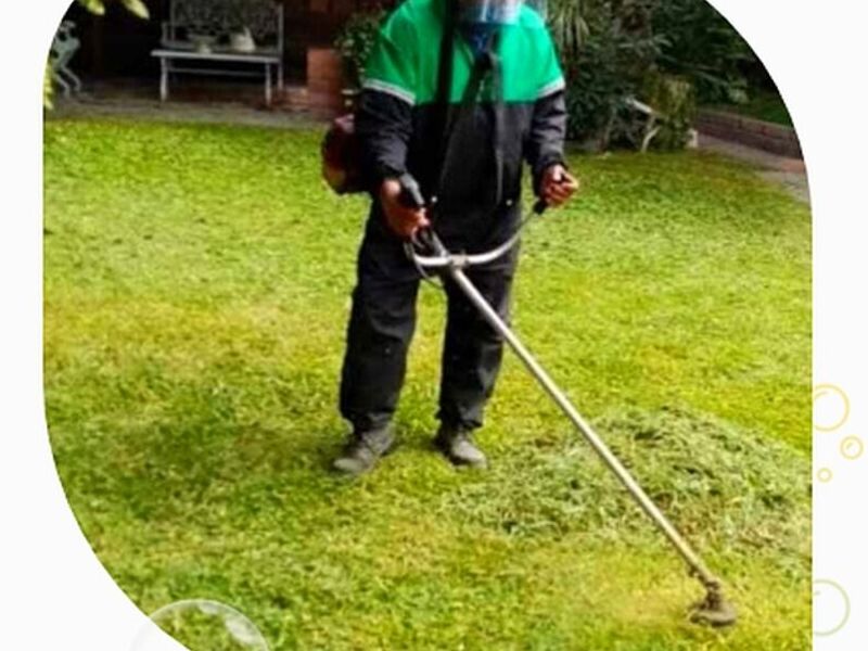 Servicios de jardinería 