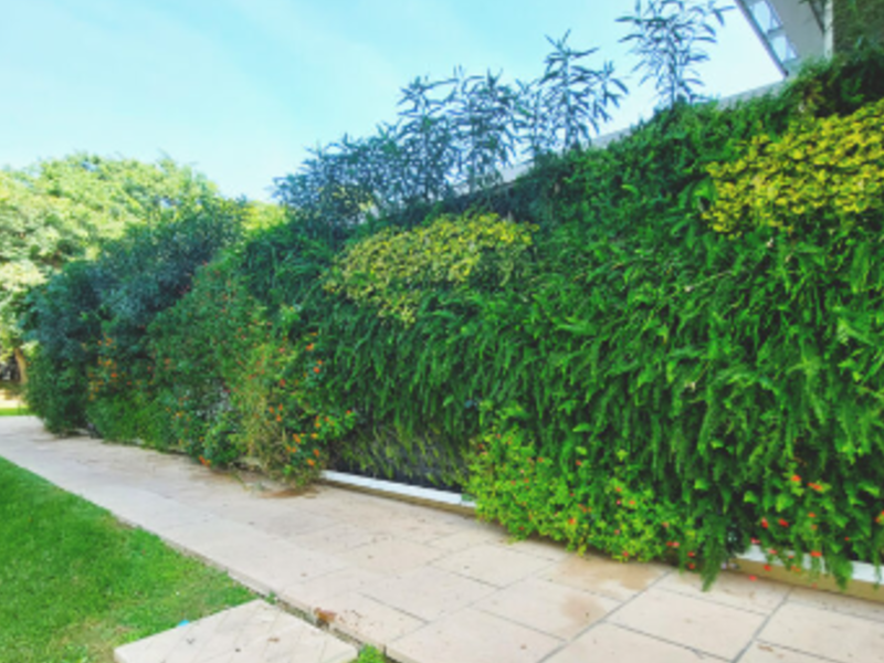 Jardines espacios reducidos  cumbaya 
