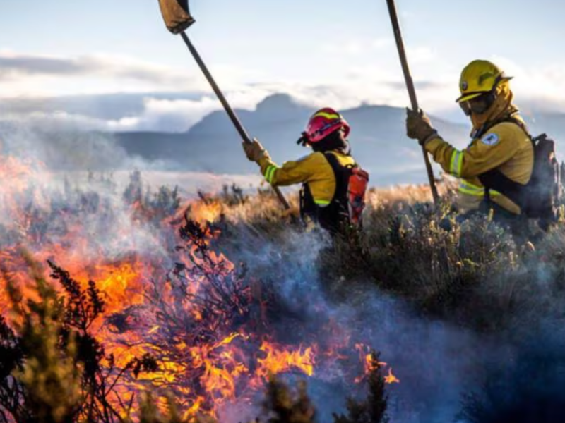 Regularización  protección contra incendios 