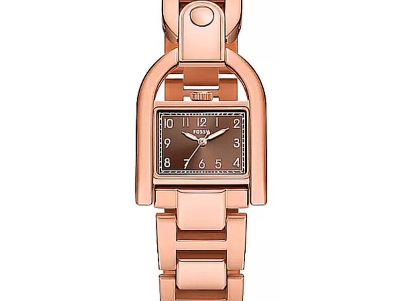 Fossil harwell de acero inoxidable Quito